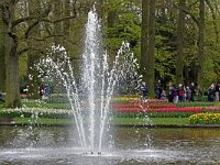 DSC 7567 Keukenhof