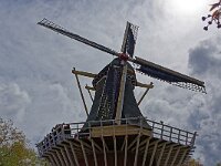 DSC 7615 Keukenhof