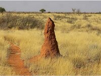 Namibia