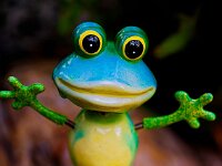 DSC 0205 DFroschjp-fcg